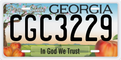 GA license plate CGC3229