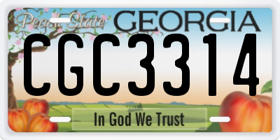 GA license plate CGC3314