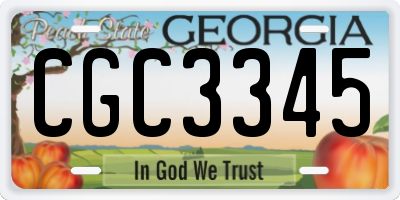 GA license plate CGC3345