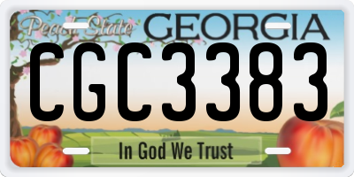 GA license plate CGC3383