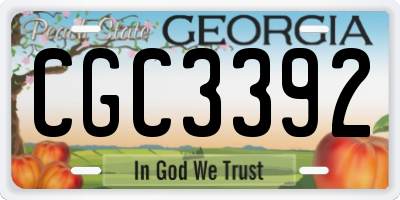 GA license plate CGC3392
