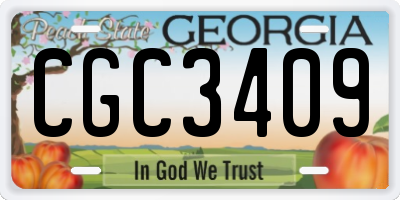 GA license plate CGC3409