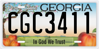 GA license plate CGC3411