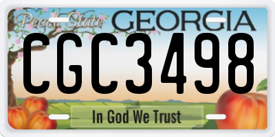 GA license plate CGC3498