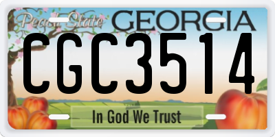 GA license plate CGC3514
