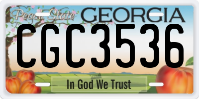 GA license plate CGC3536