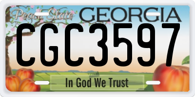 GA license plate CGC3597