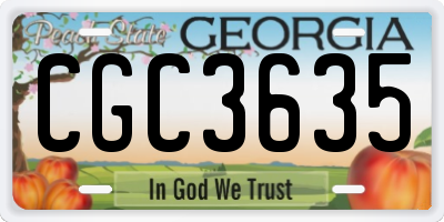 GA license plate CGC3635