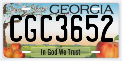 GA license plate CGC3652