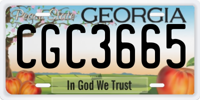 GA license plate CGC3665