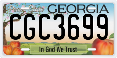 GA license plate CGC3699