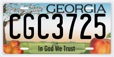 GA license plate CGC3725