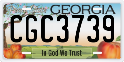 GA license plate CGC3739