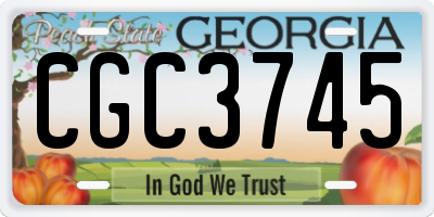 GA license plate CGC3745