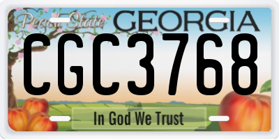 GA license plate CGC3768