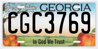 GA license plate CGC3769
