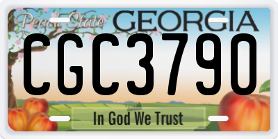 GA license plate CGC3790