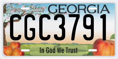 GA license plate CGC3791