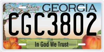 GA license plate CGC3802
