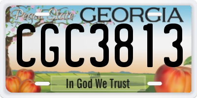 GA license plate CGC3813