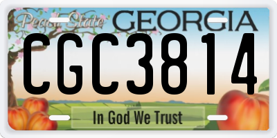 GA license plate CGC3814