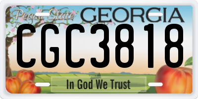 GA license plate CGC3818