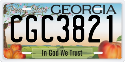 GA license plate CGC3821