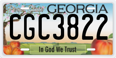 GA license plate CGC3822