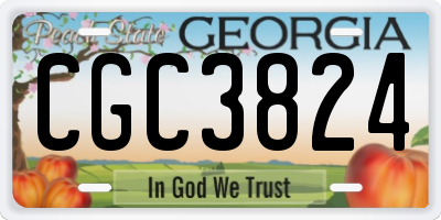 GA license plate CGC3824