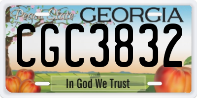 GA license plate CGC3832