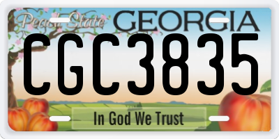 GA license plate CGC3835