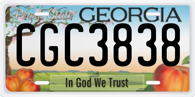 GA license plate CGC3838