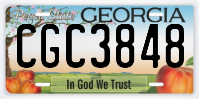 GA license plate CGC3848