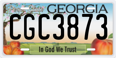 GA license plate CGC3873