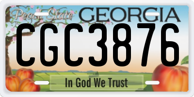 GA license plate CGC3876