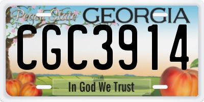 GA license plate CGC3914
