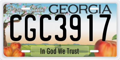 GA license plate CGC3917