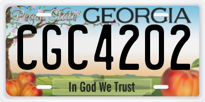 GA license plate CGC4202