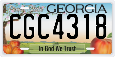 GA license plate CGC4318