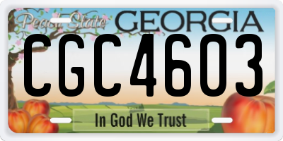 GA license plate CGC4603