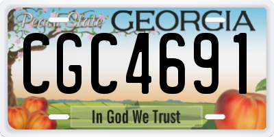 GA license plate CGC4691