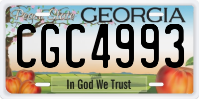 GA license plate CGC4993