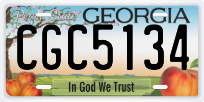 GA license plate CGC5134