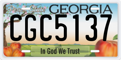 GA license plate CGC5137