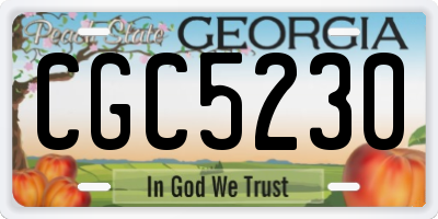 GA license plate CGC5230