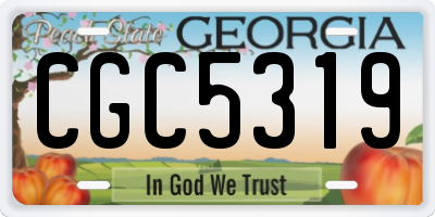 GA license plate CGC5319