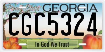 GA license plate CGC5324