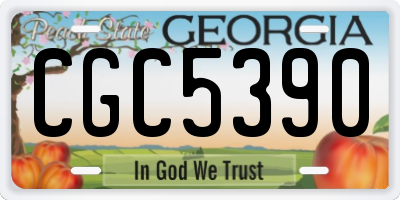 GA license plate CGC5390