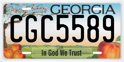 GA license plate CGC5589