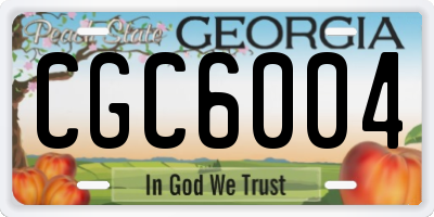 GA license plate CGC6004